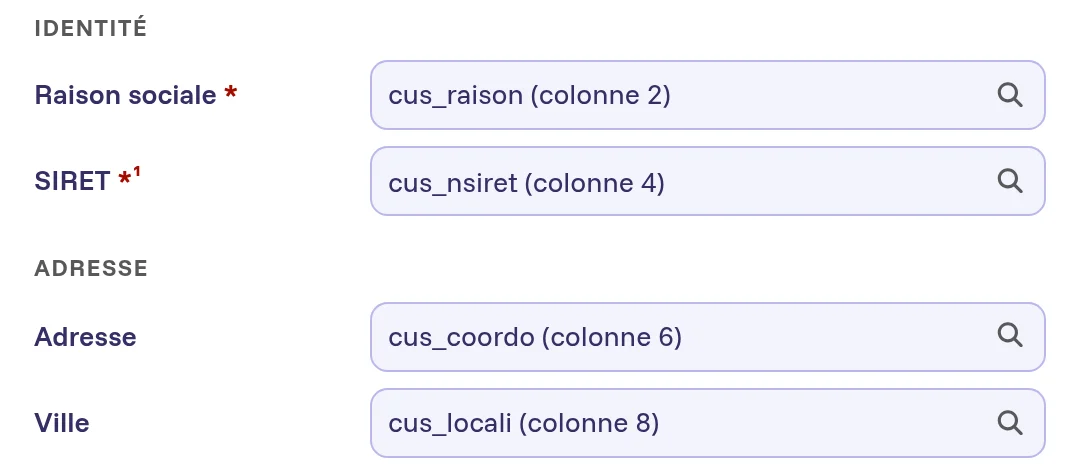 Correspondance des colonnes dans TierSafe : cus_raison, cus_nsiret et les colonnes d'adresse d'un export reconnues automatiquement